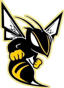 Black Hornet
